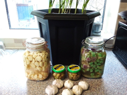 Garlic - Garlic Everywhere