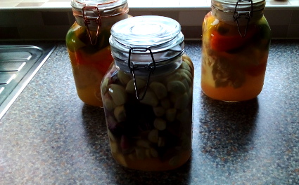 Lacto - Fermented Garlic/Red Onion & Cauliflower/Mixed Peppers